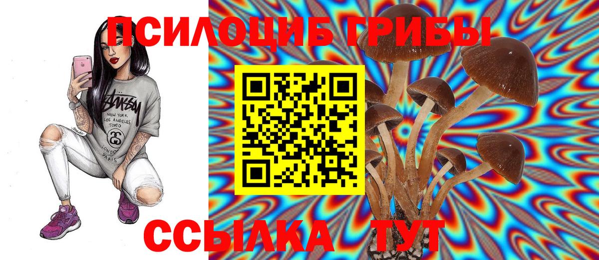 Галлюциногенные грибы прущие грибы  Вход с VPN  Печора  Галлюциногенные грибы Psilocybine cubensis 